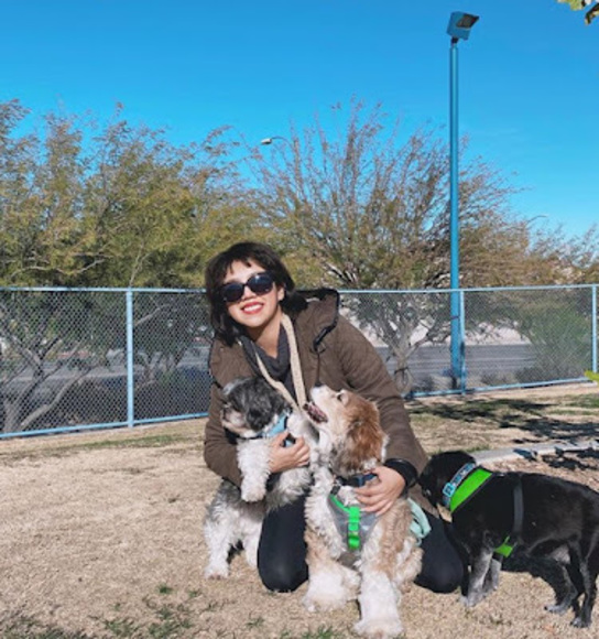 Meet your Posher, Elsa - Picture 1 of 1